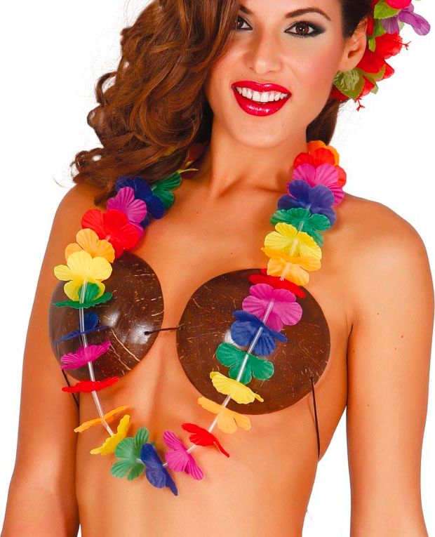 Hawaii Ketting Meerkleurig Basic