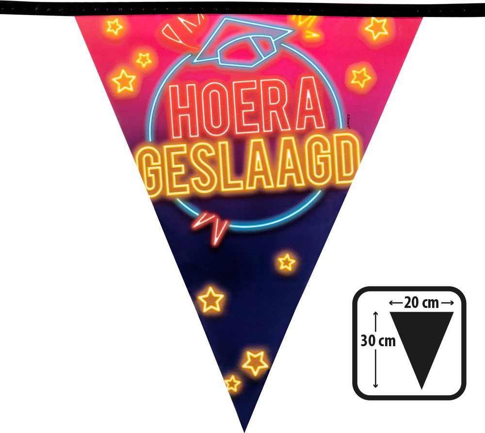 Hoera Geslaagd Vlaggenlijn