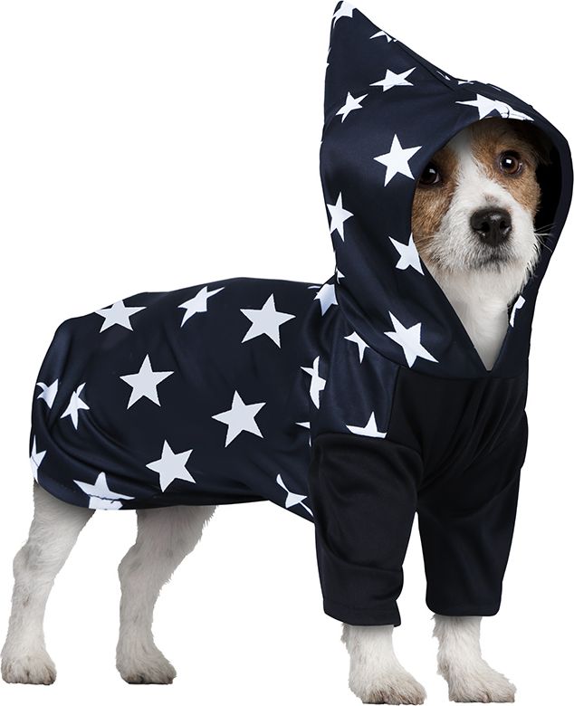 Hond Tovenaar Kostuum