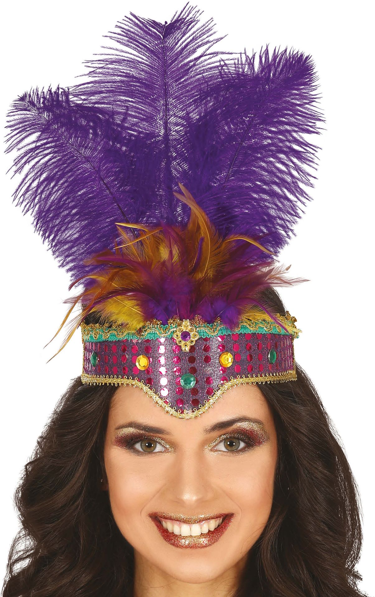 Hoofdtooi Paarse Veren