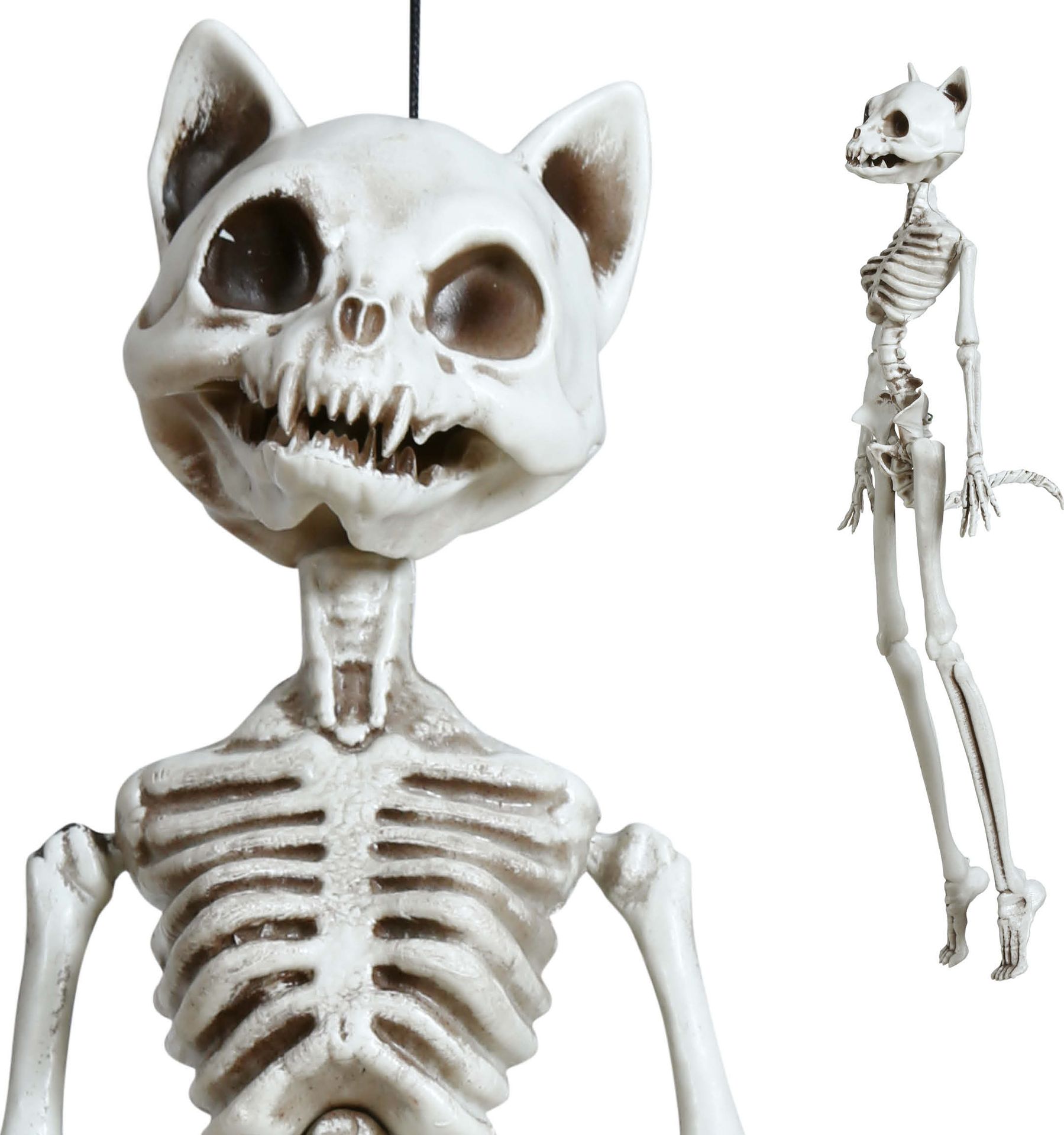 Kat Skelet Hang Decoratie