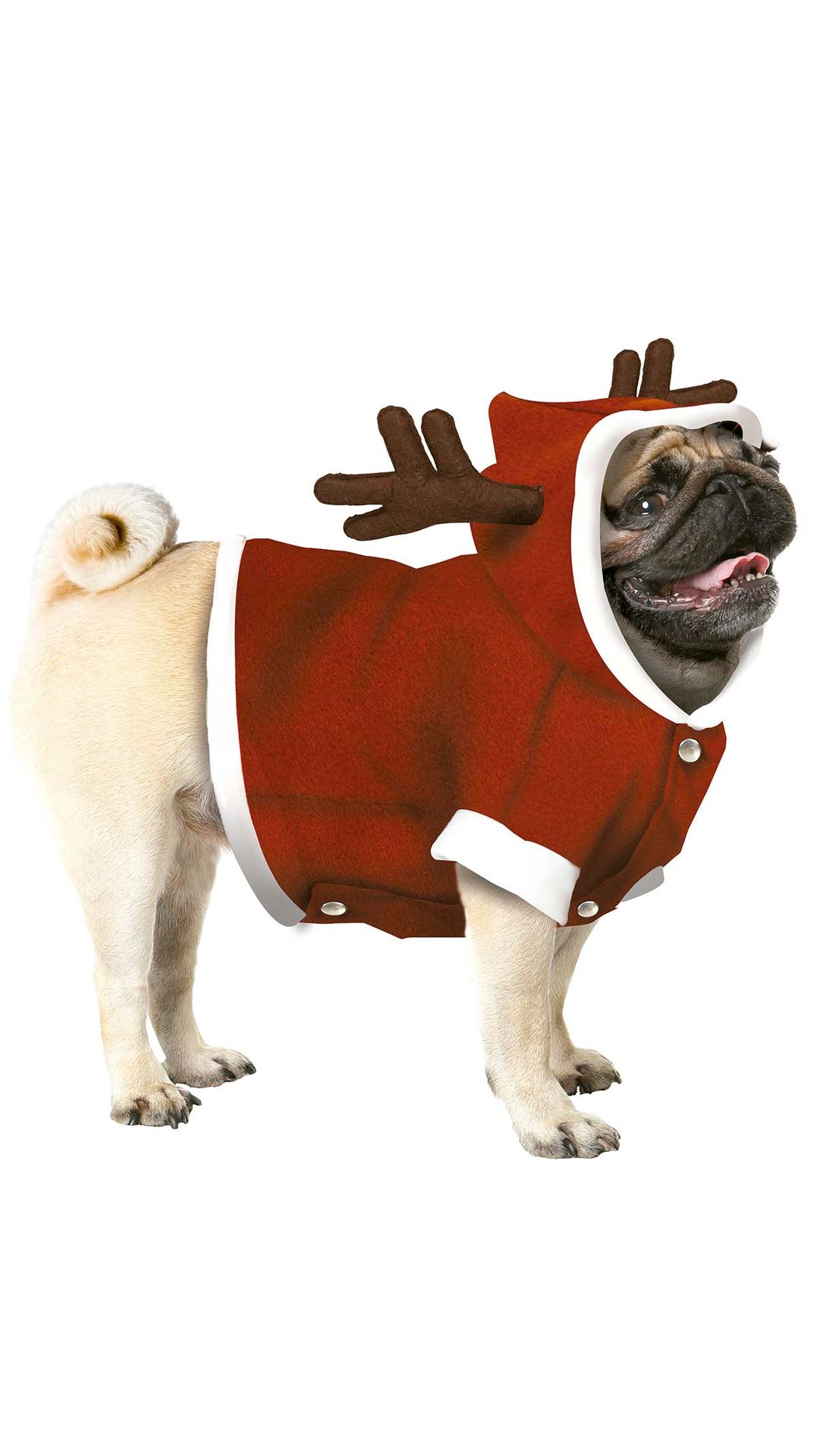 Kerst Rendier Kostuum Hond