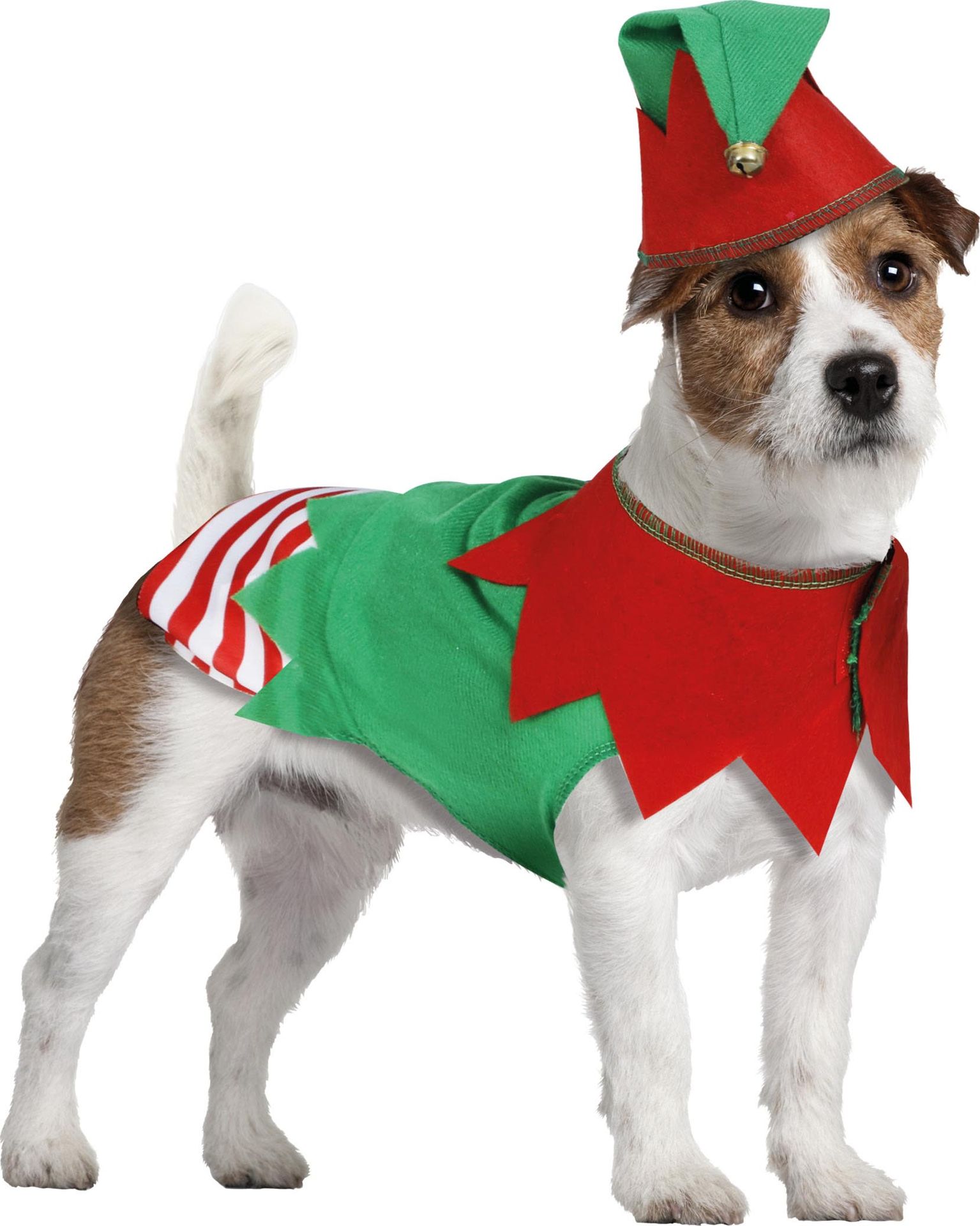 Kerstelf Kostuum Hond