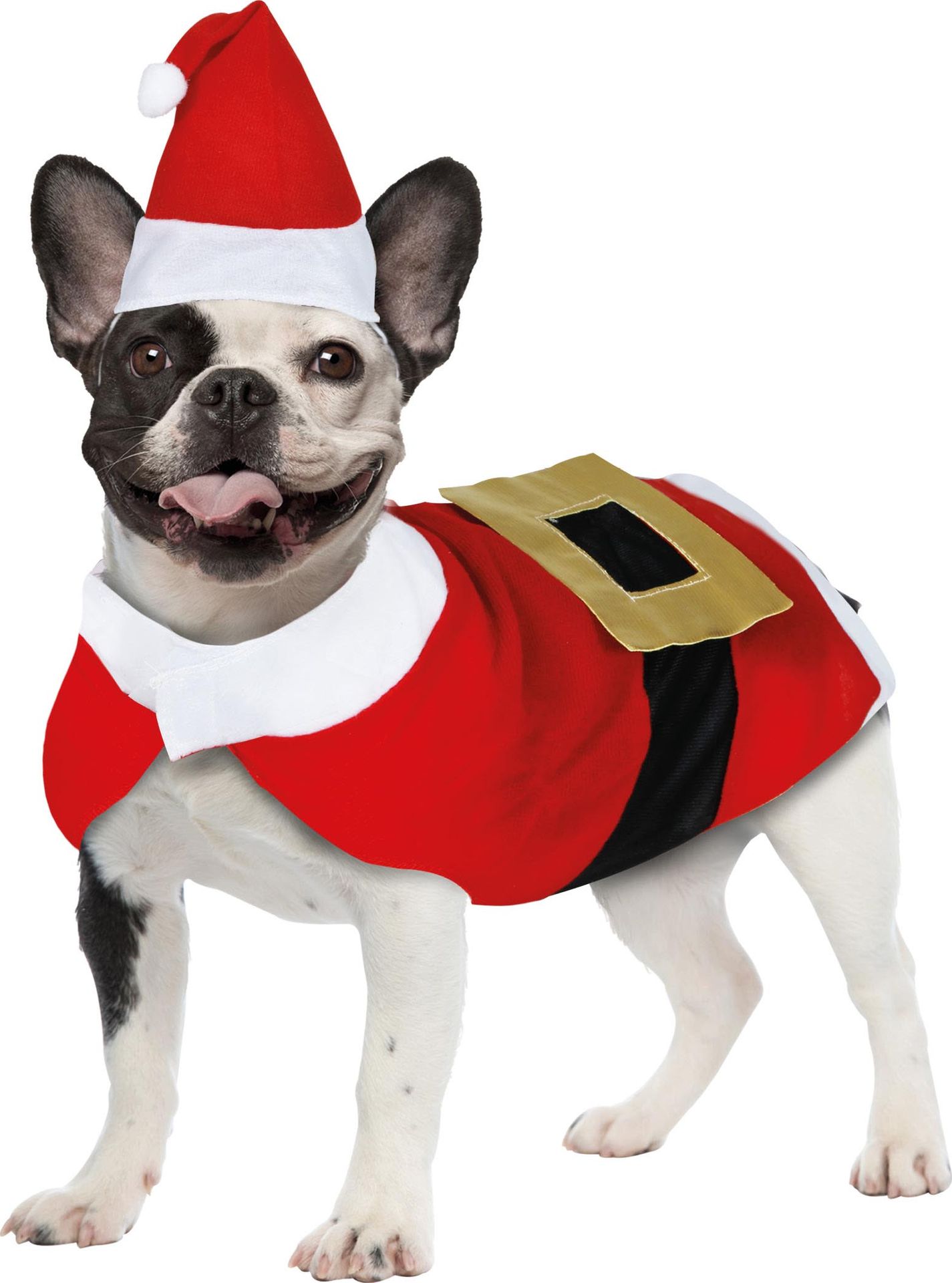 Kerstman Kostuum Hond
