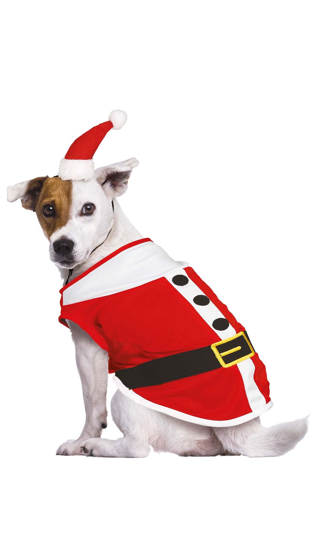 Kerstman Mini Hoedje Kostuum Hond