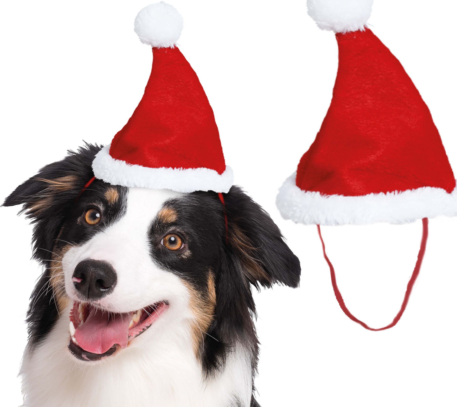 Kerstmuts voor Huisdieren