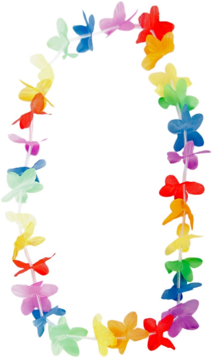 Klassiek Kleurrijke Hawaii Krans