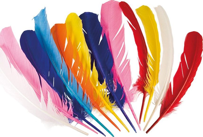 Kleurrijke Indiaan Veren Set