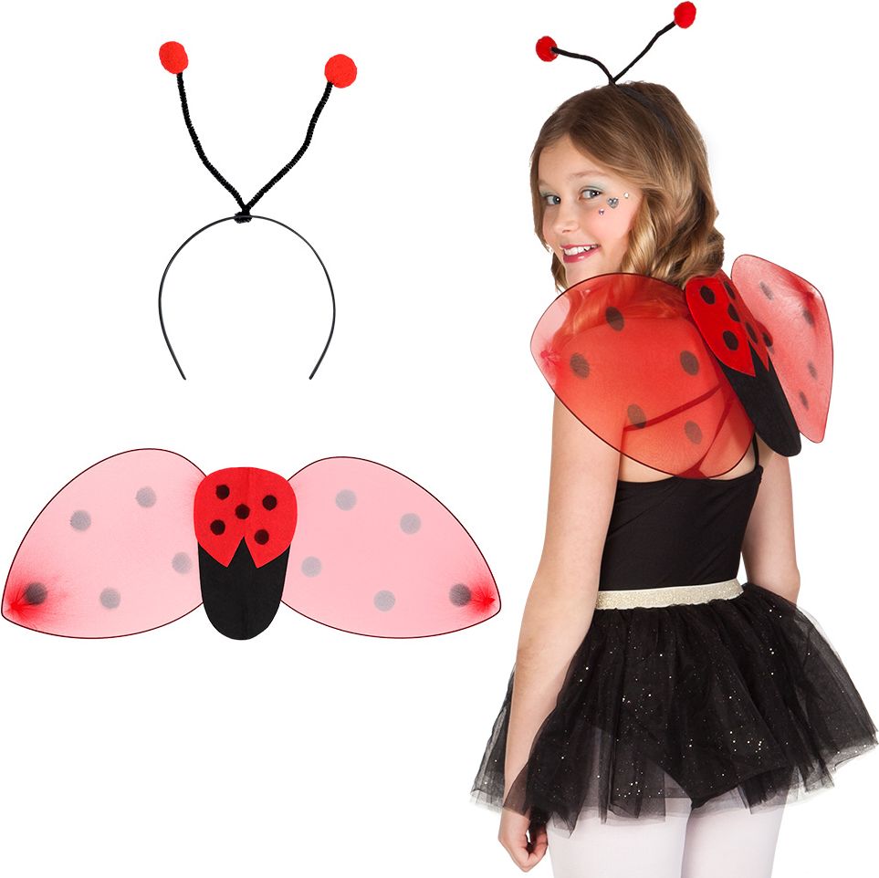 Ladybug accessoires set kind