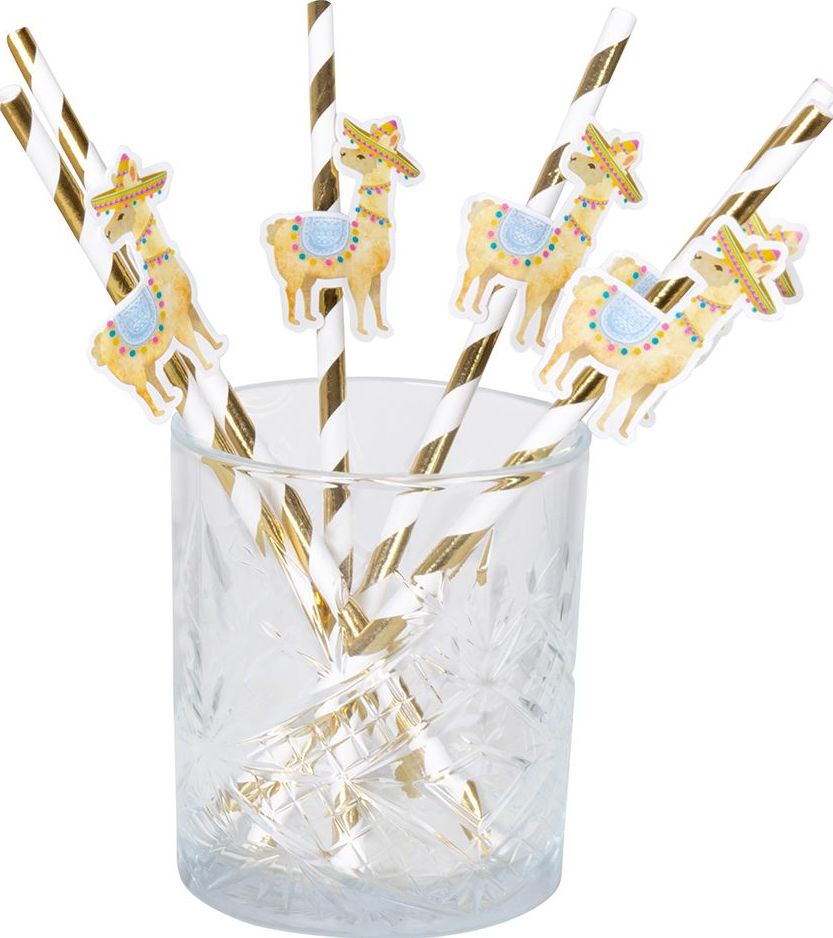 Lama Thema Party Rietjes