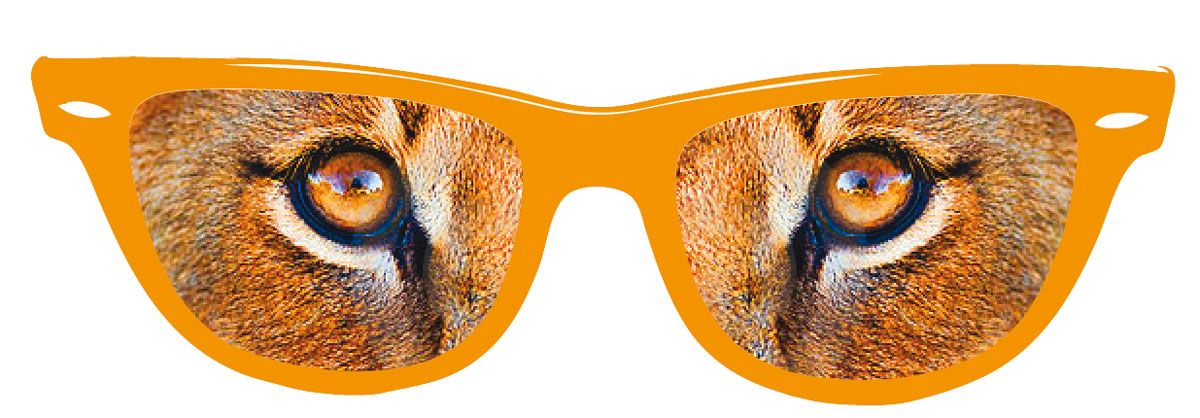 Leeuwenogen Feestbril Oranje