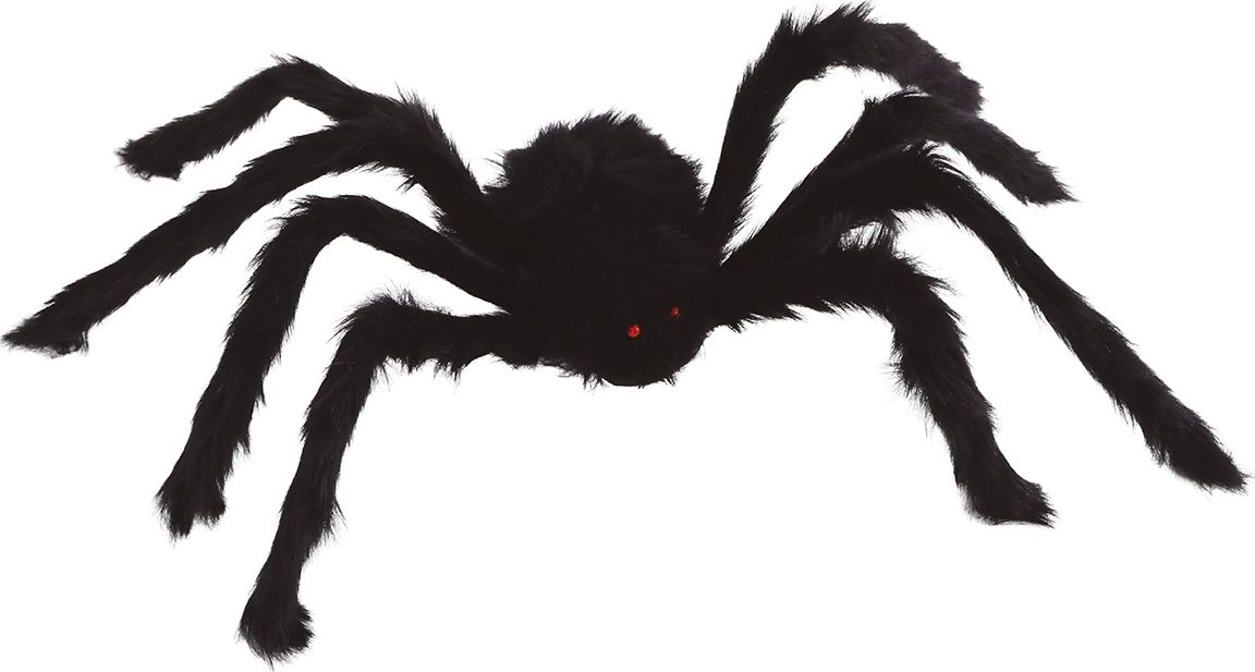 Levensechte Harige Vogelspin