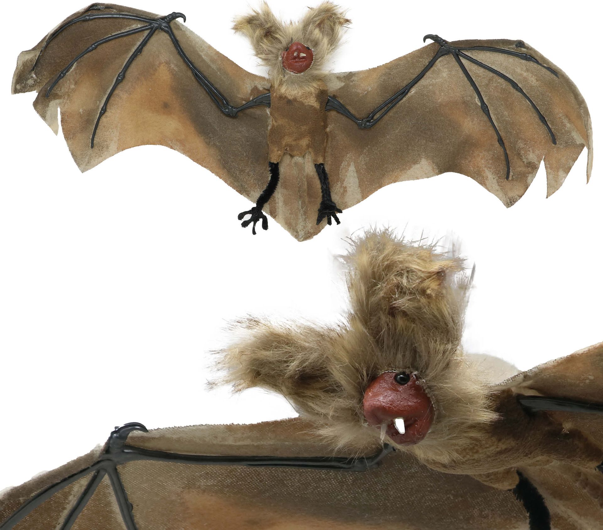 Levensechte Vleermuis