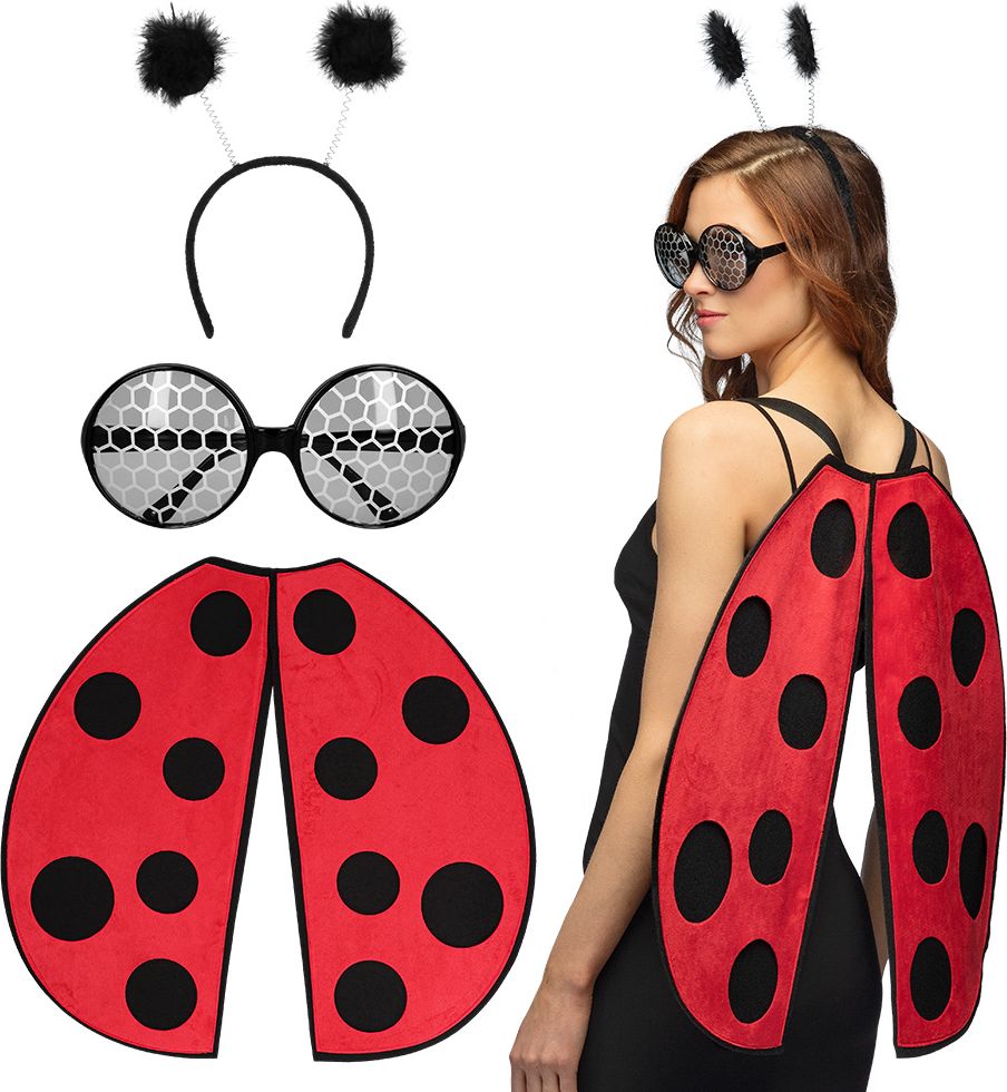 Lieveheersbeestje Accessoireset Dames 3-Delig