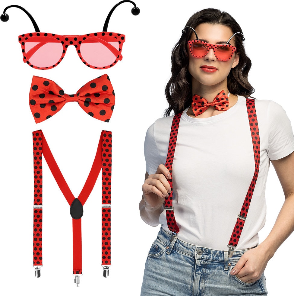 Lieveheersbeestje Party Set Volwassenen