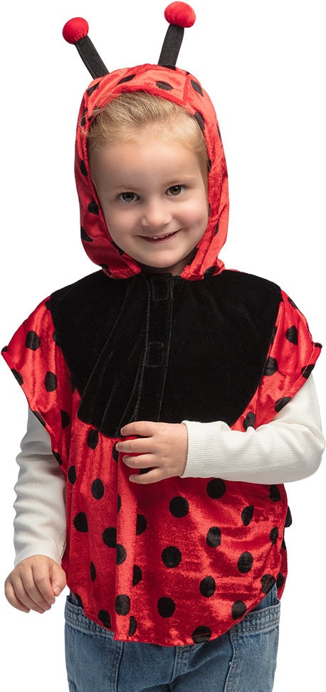 Lieveheersbeestje Poncho Peuter