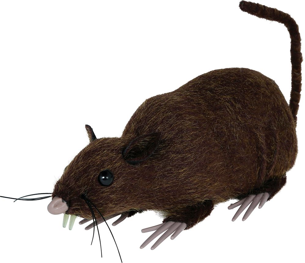 Longfield Rat Bruin 15cm