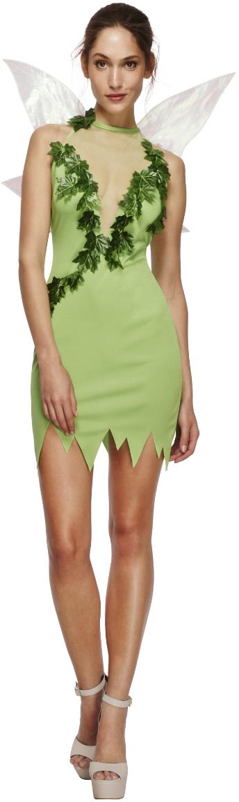 Magische Fee Groene Jurkje