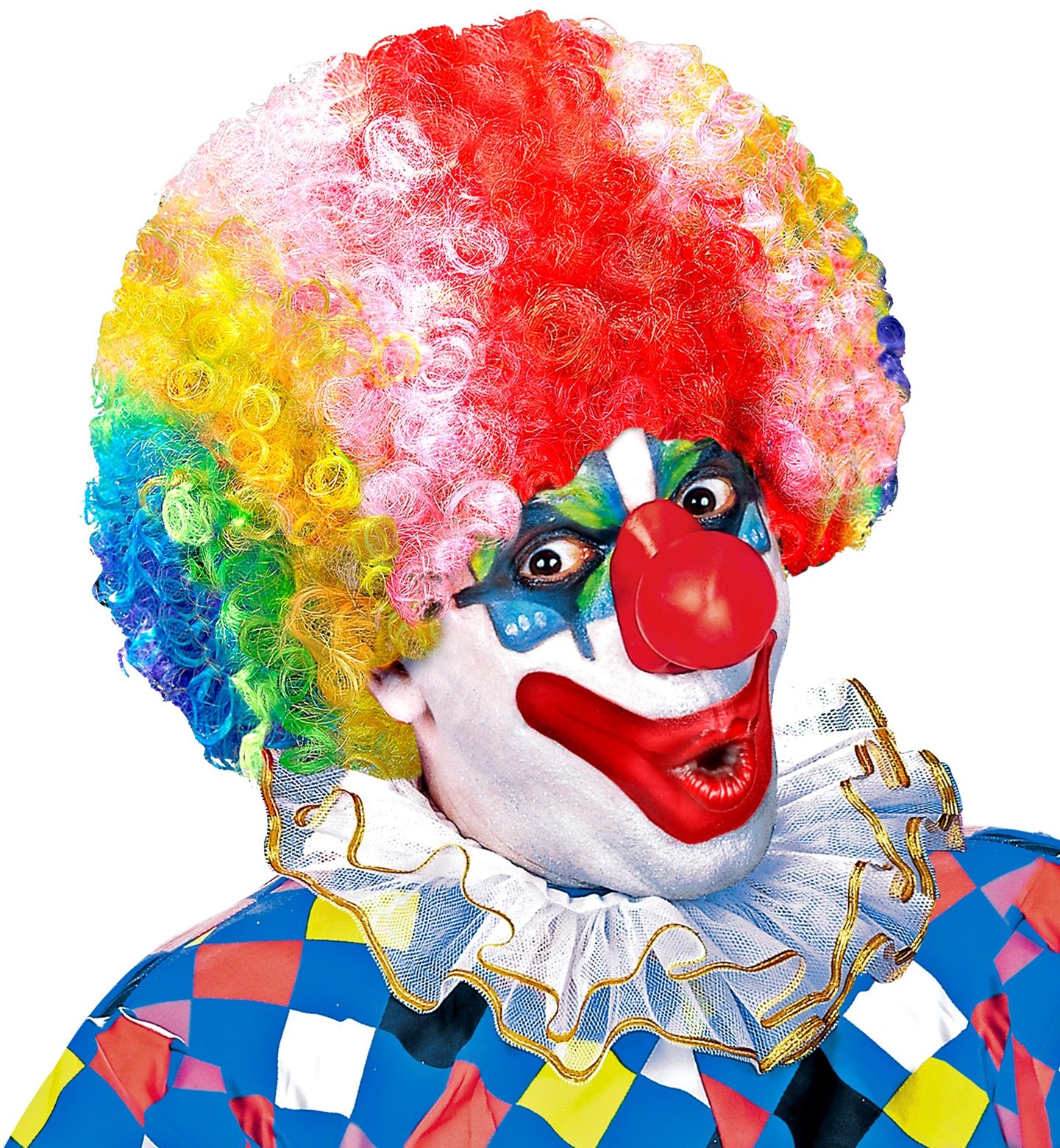 Meerkleurige Clowns Pruik met Krullen