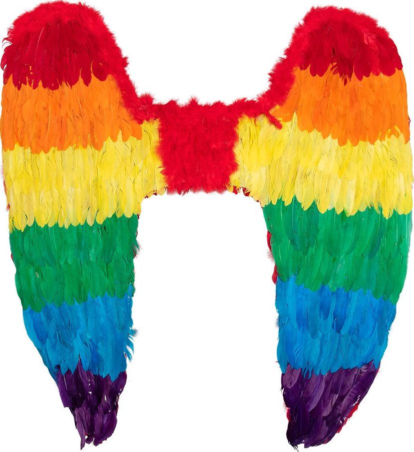 Mega Veren Engel Vleugels Regenboog