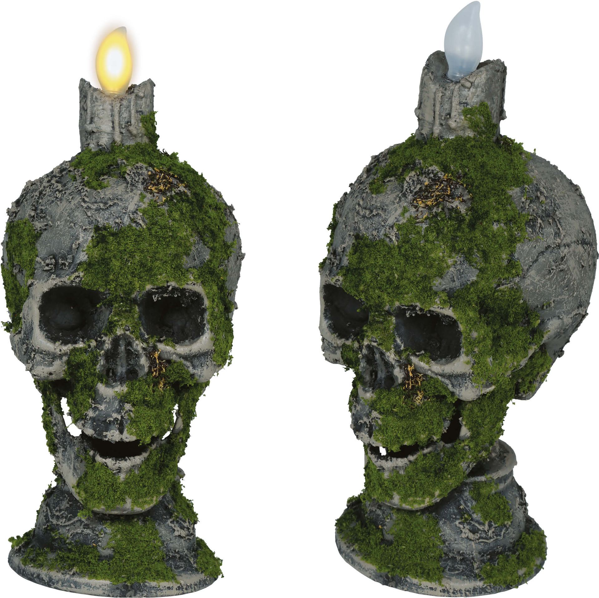 Mos Schedel met Lichtgevende Kaars Halloween