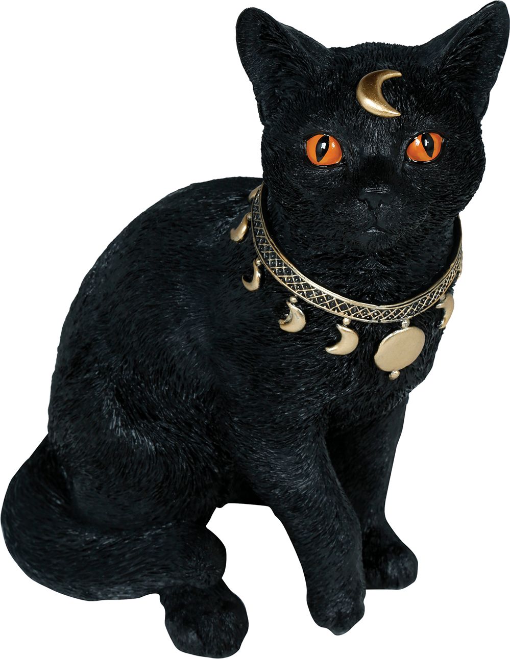Mystieke Zwarte Kat Halloween Decoratie