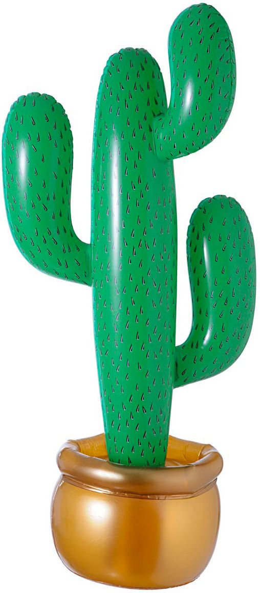Opblaasbare Cactus