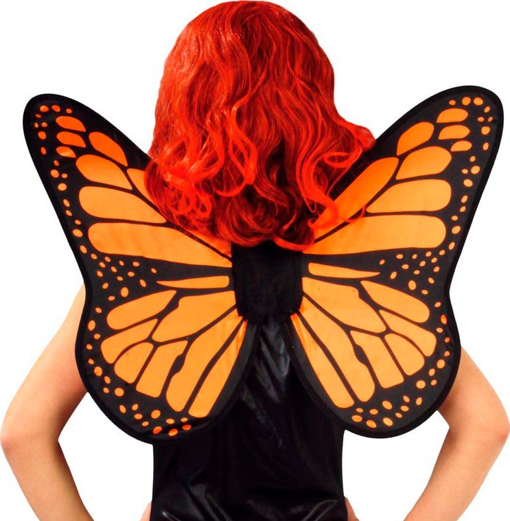 Oranje Compacte Vlinder Vleugels