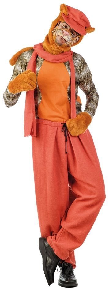 Oranje Misifu Straatkat