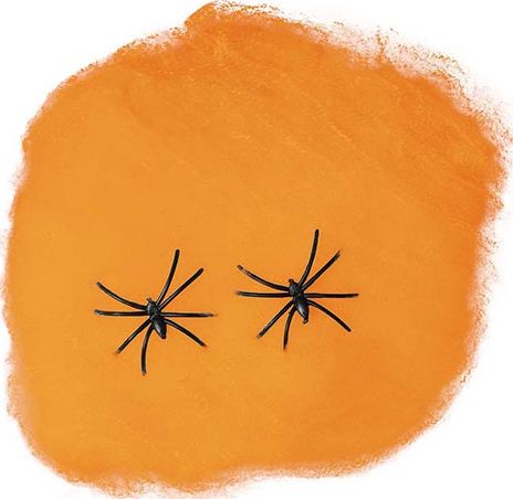 Oranje Spinnenweb 4 Spinnen