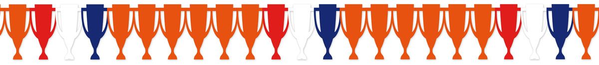 Papierslinger Nl Vlag