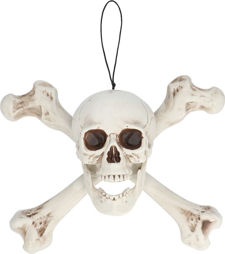 Piraten Schedel Halloween Decoratie