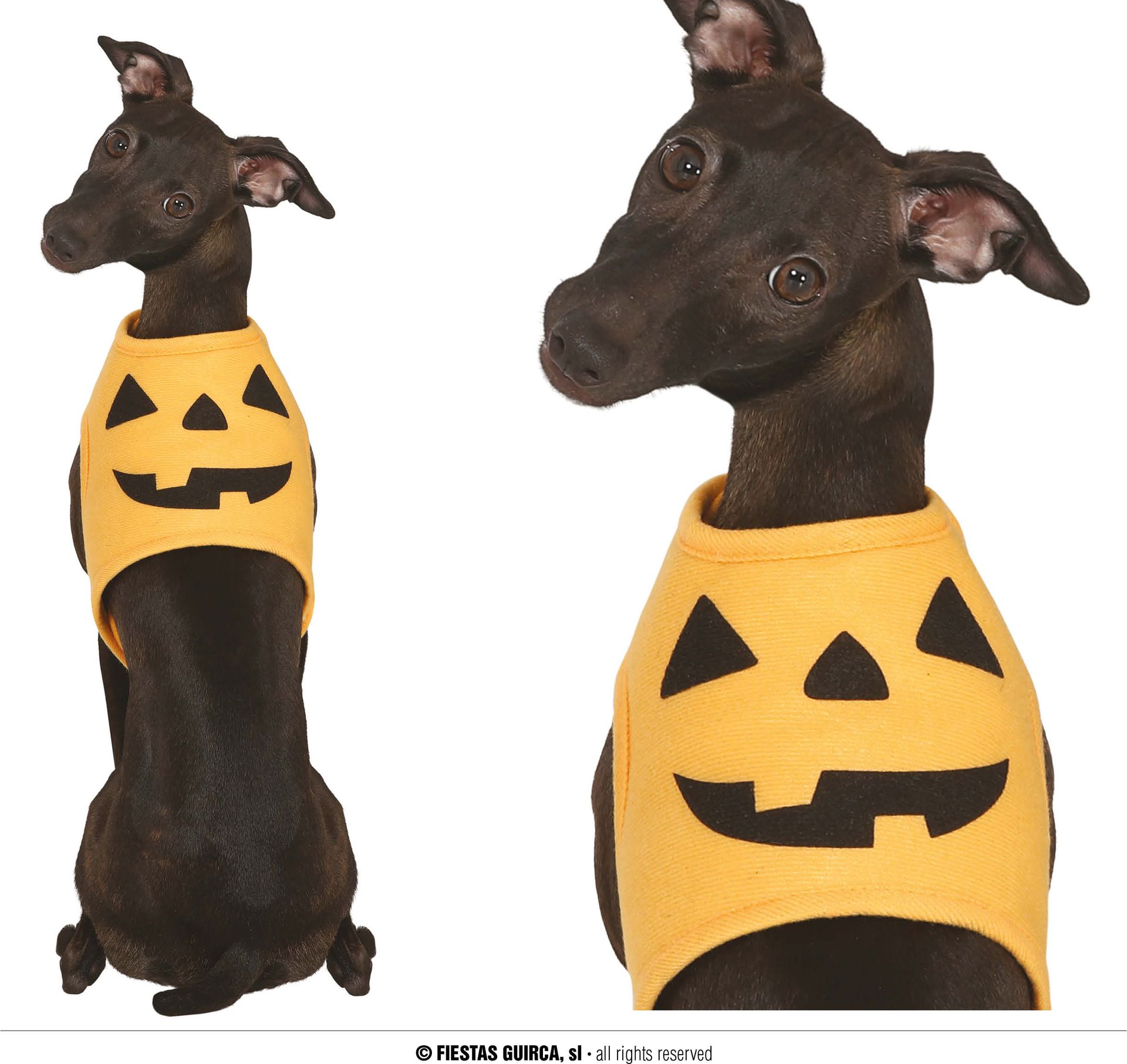 Pompoen Halloween Honden Kostuum Klein
