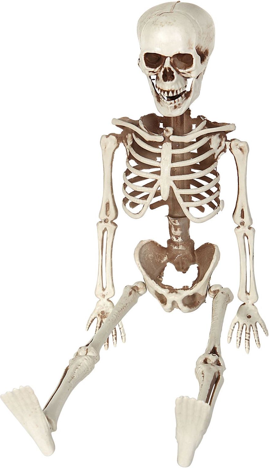 Poseerbaar skelet 40cm