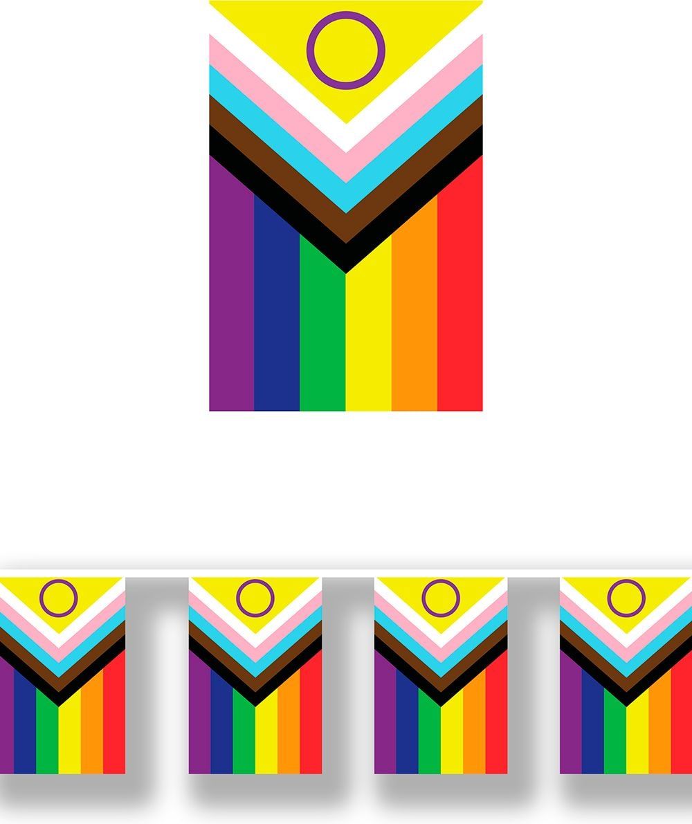 Pride Vlag Feestslinger 2,5M