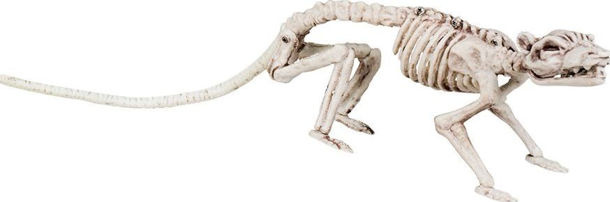 Ratten Skelet Decoratie