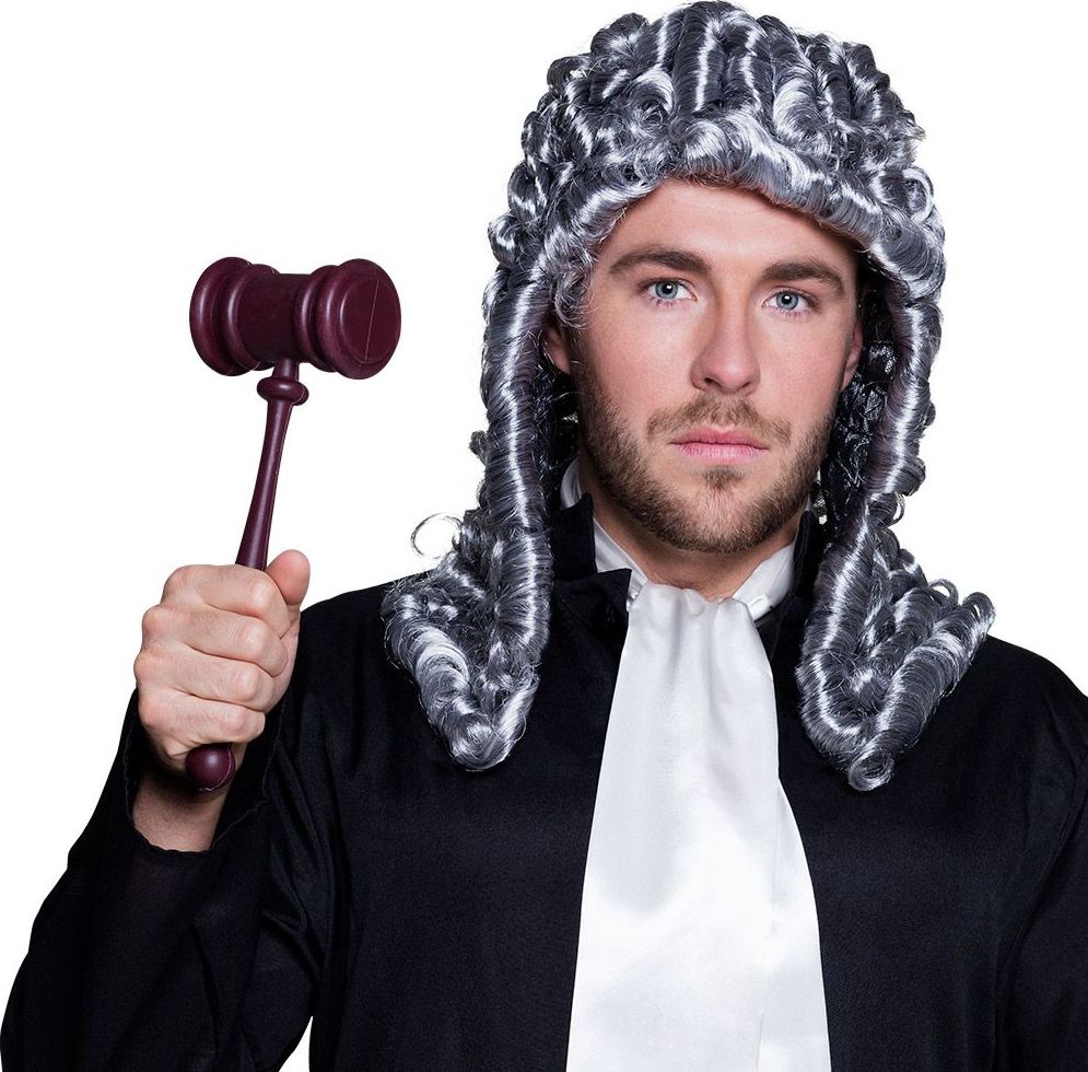 Rechter Advocaat Voorzitter Hamer