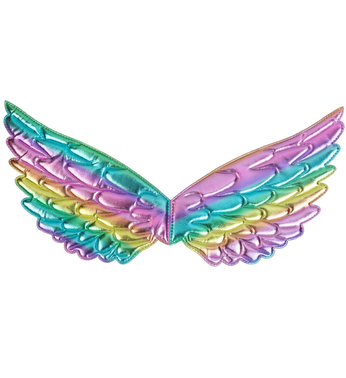 Regenboog engel Vleugels Accessoire