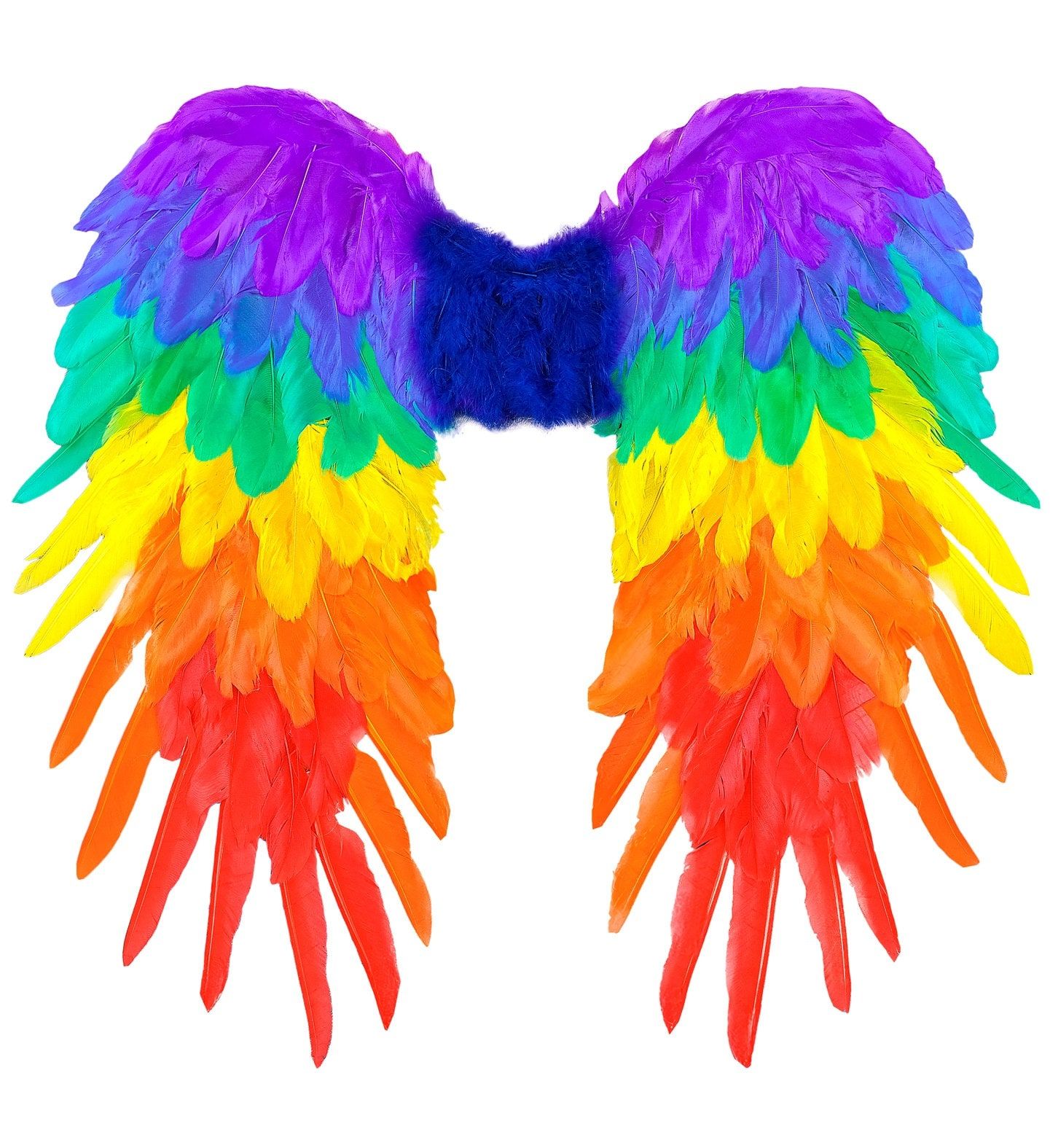 Regenboog Opvouwbare Vleugels Accessoire