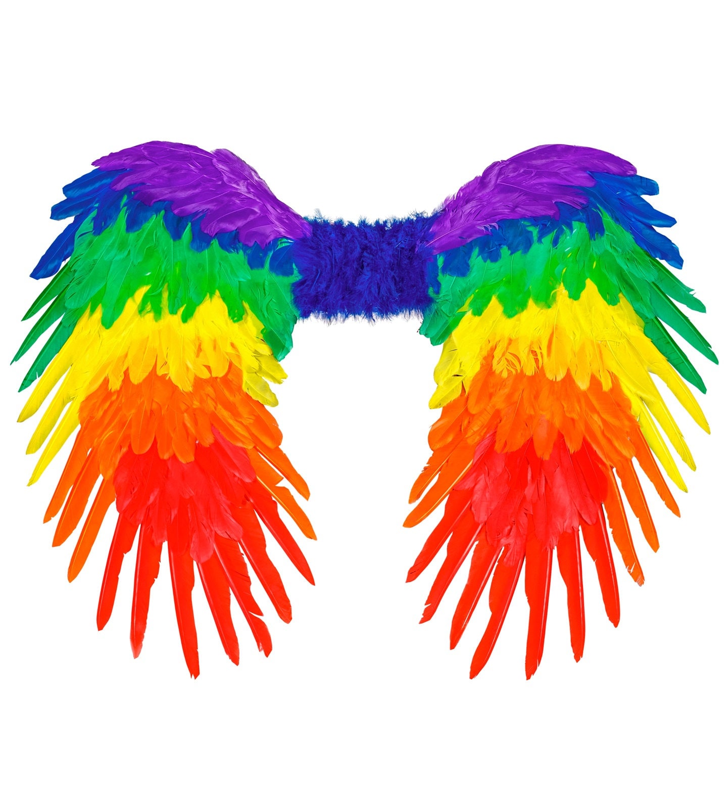 Regenboog Veren Vleugels Dames Heren