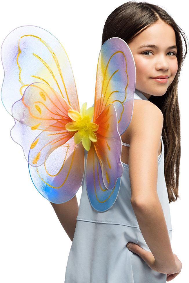 Regenboog Vlinder Vleugels Kind