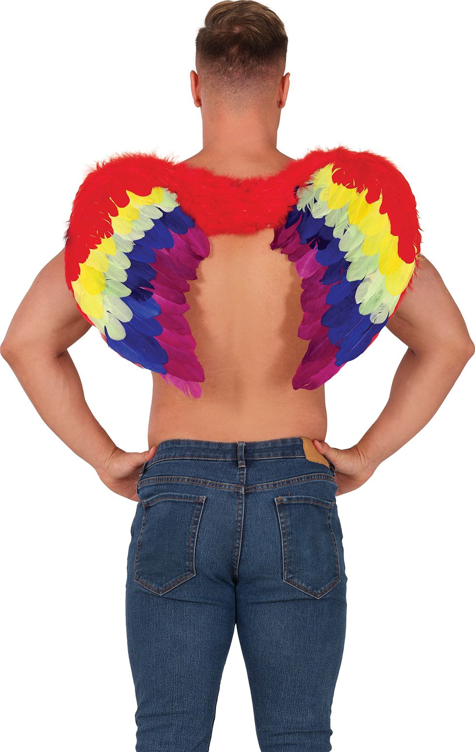 Regenboogkleurige Veren Vleugels