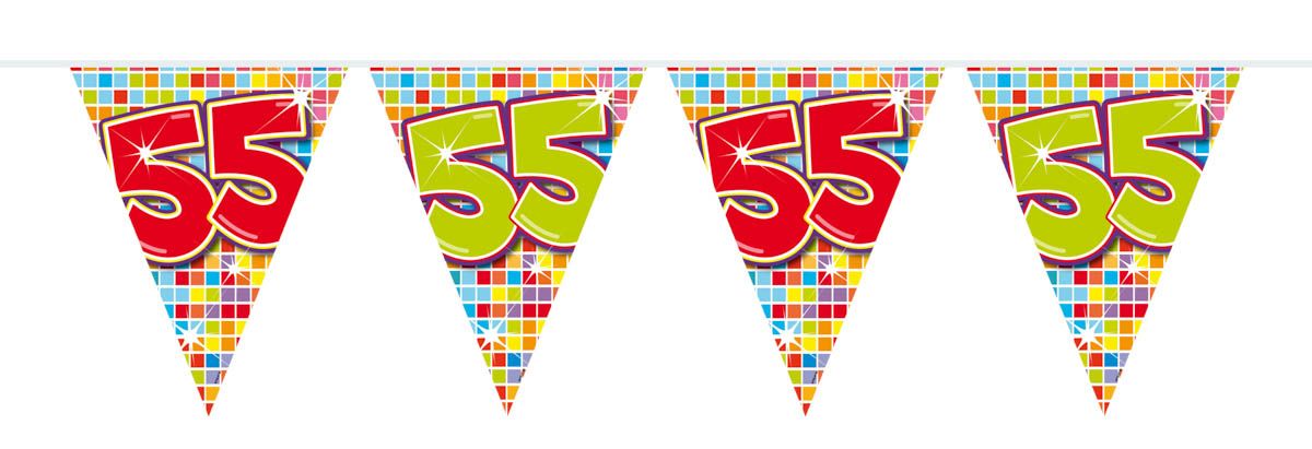 Retro verjaardag 55 jaar mini vlaggenlijn 3 meter
