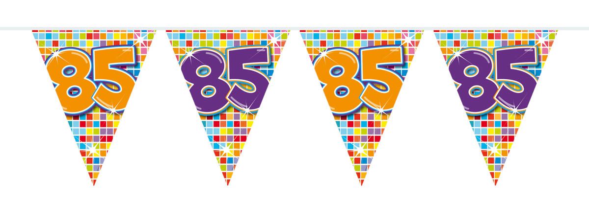 Retro verjaardag 85 jaar mini vlaggenlijn 3 meter