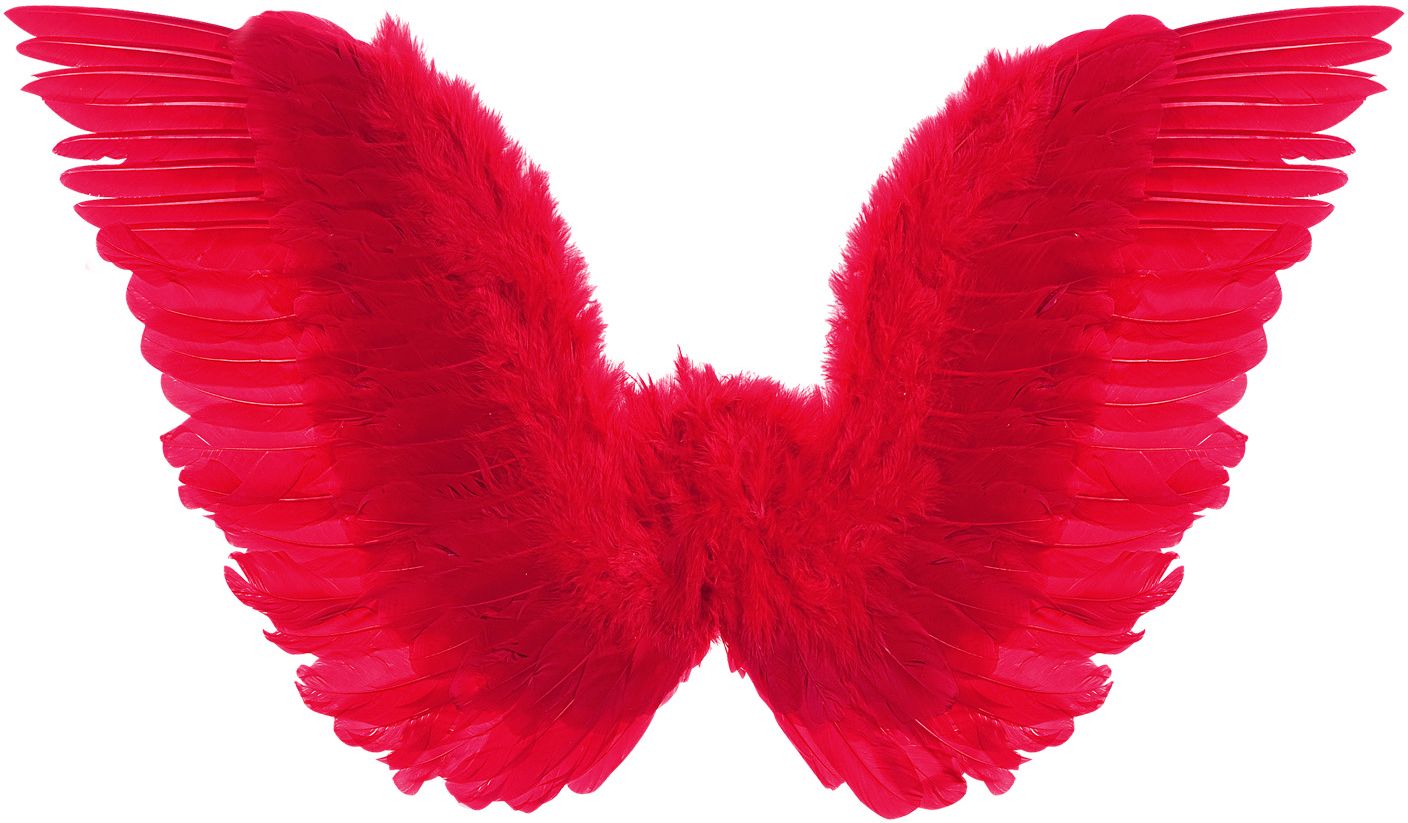 Rode Geveerde Vleugels