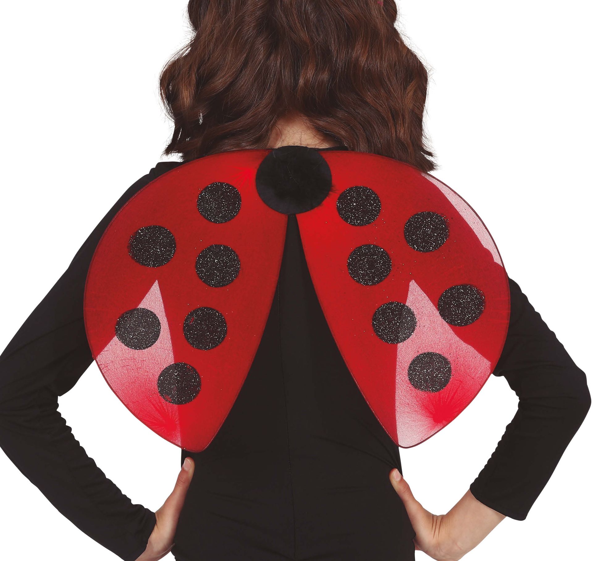 Rode Lieveheersbeestje Vleugels Kinderen