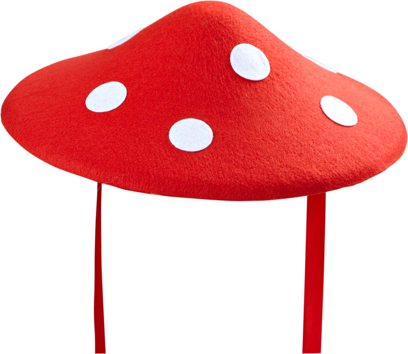 Rode Paddenstoelen Hoed