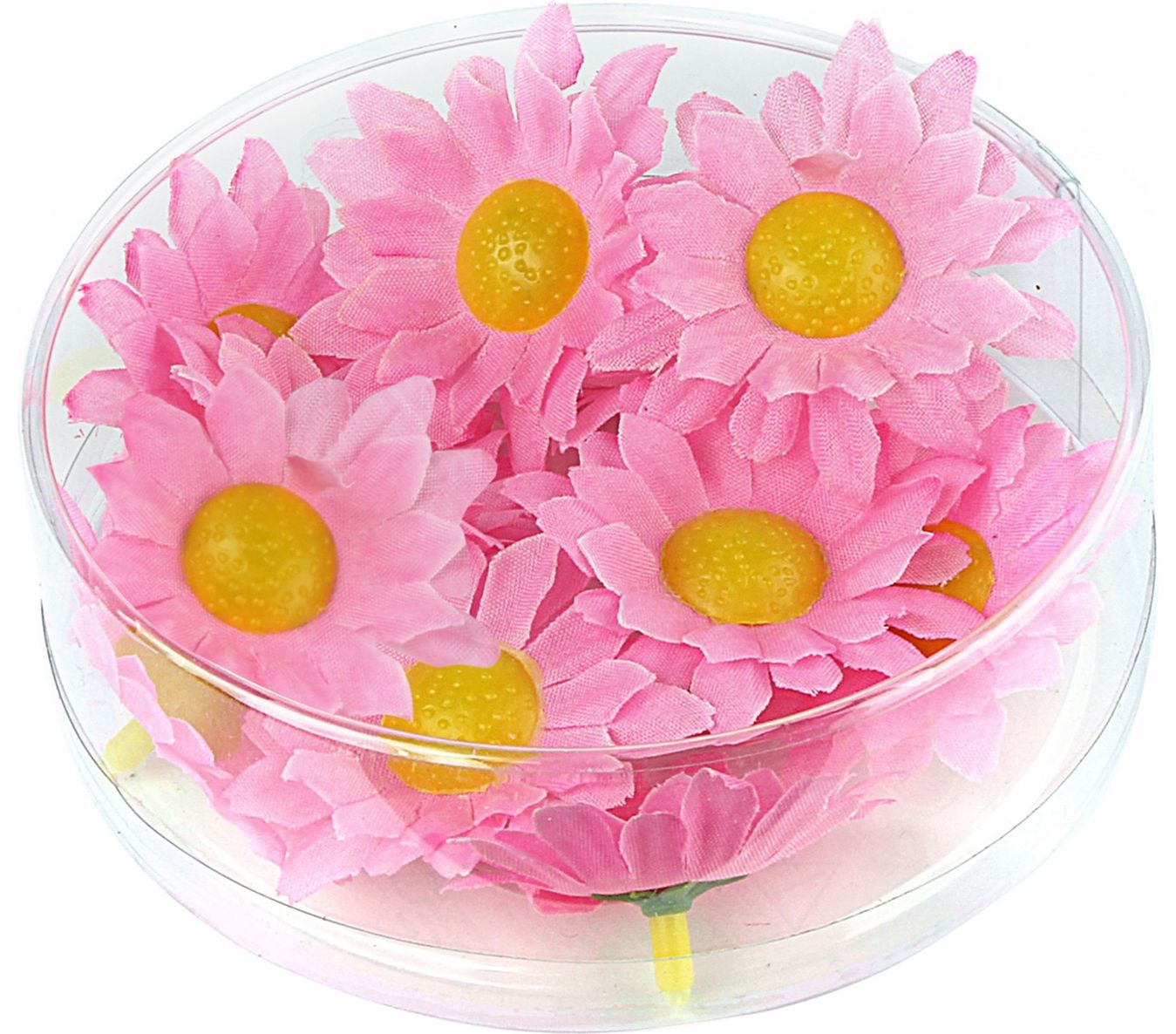 Roze Margrietjes 20 Stuks