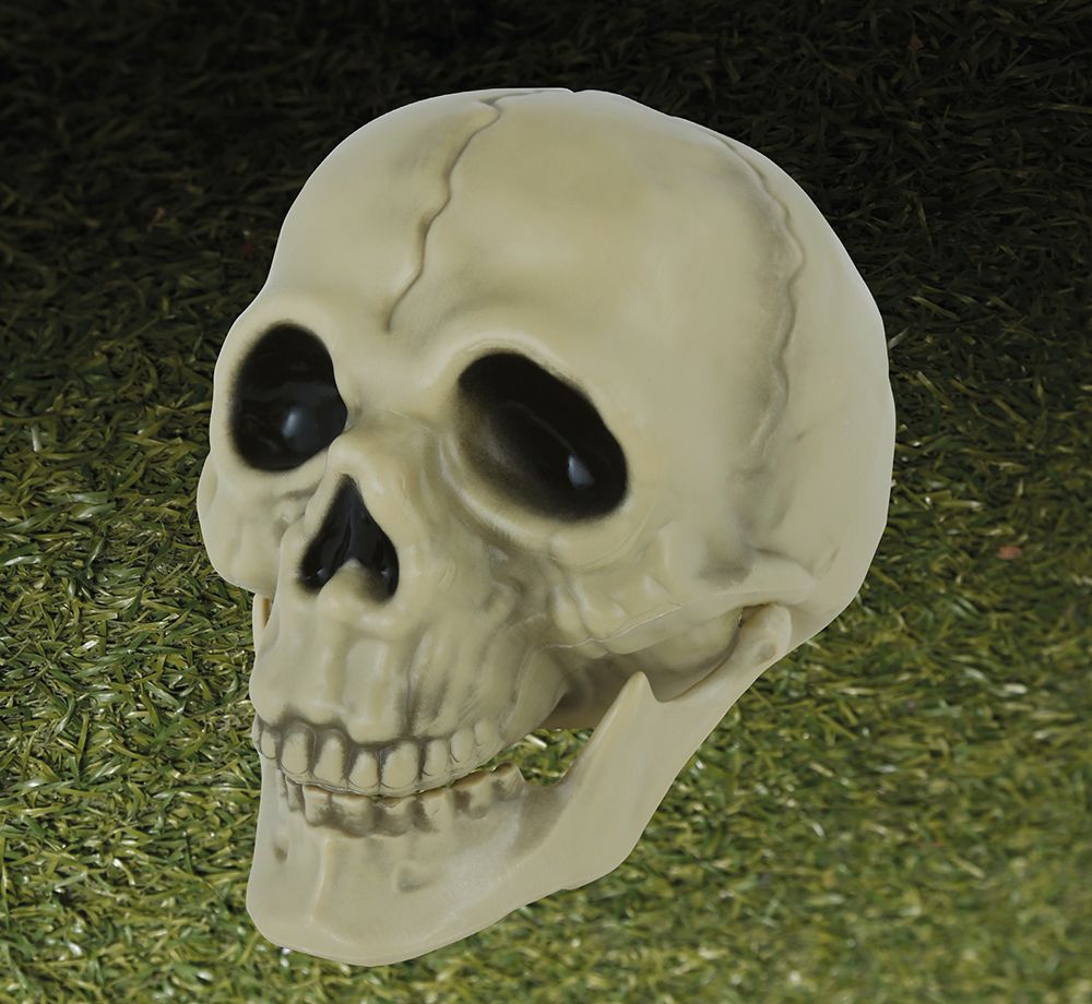 Schedel Decoratie Halloween 13cm