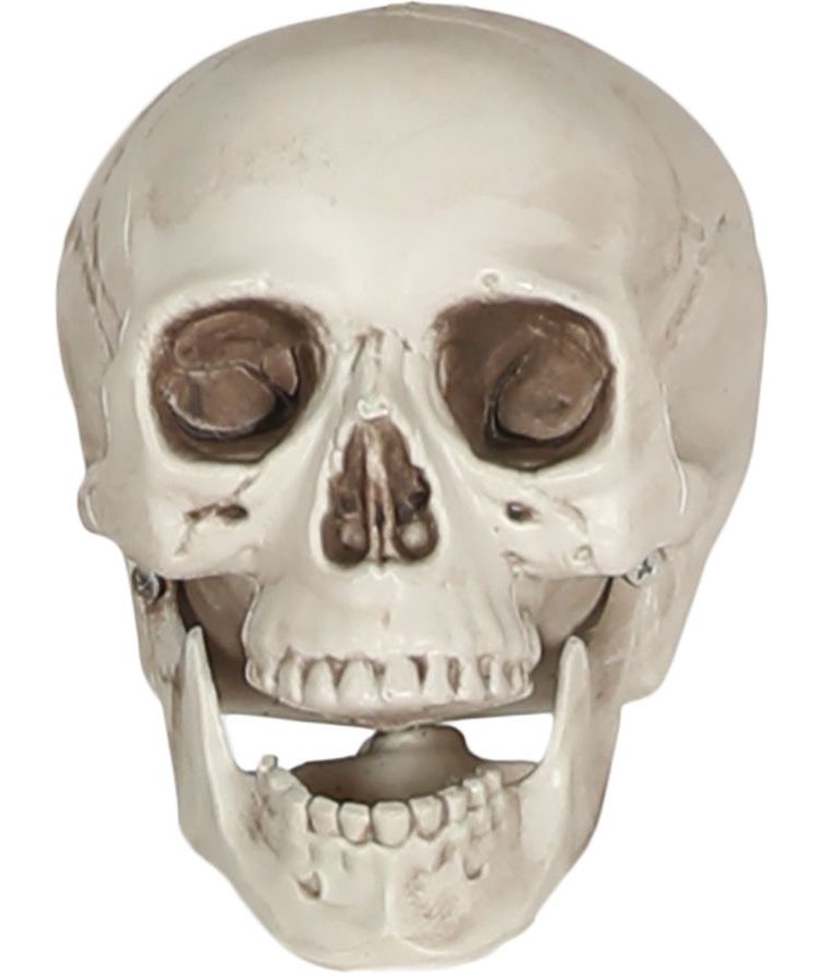 Schedel Decoratie Halloween 20cm